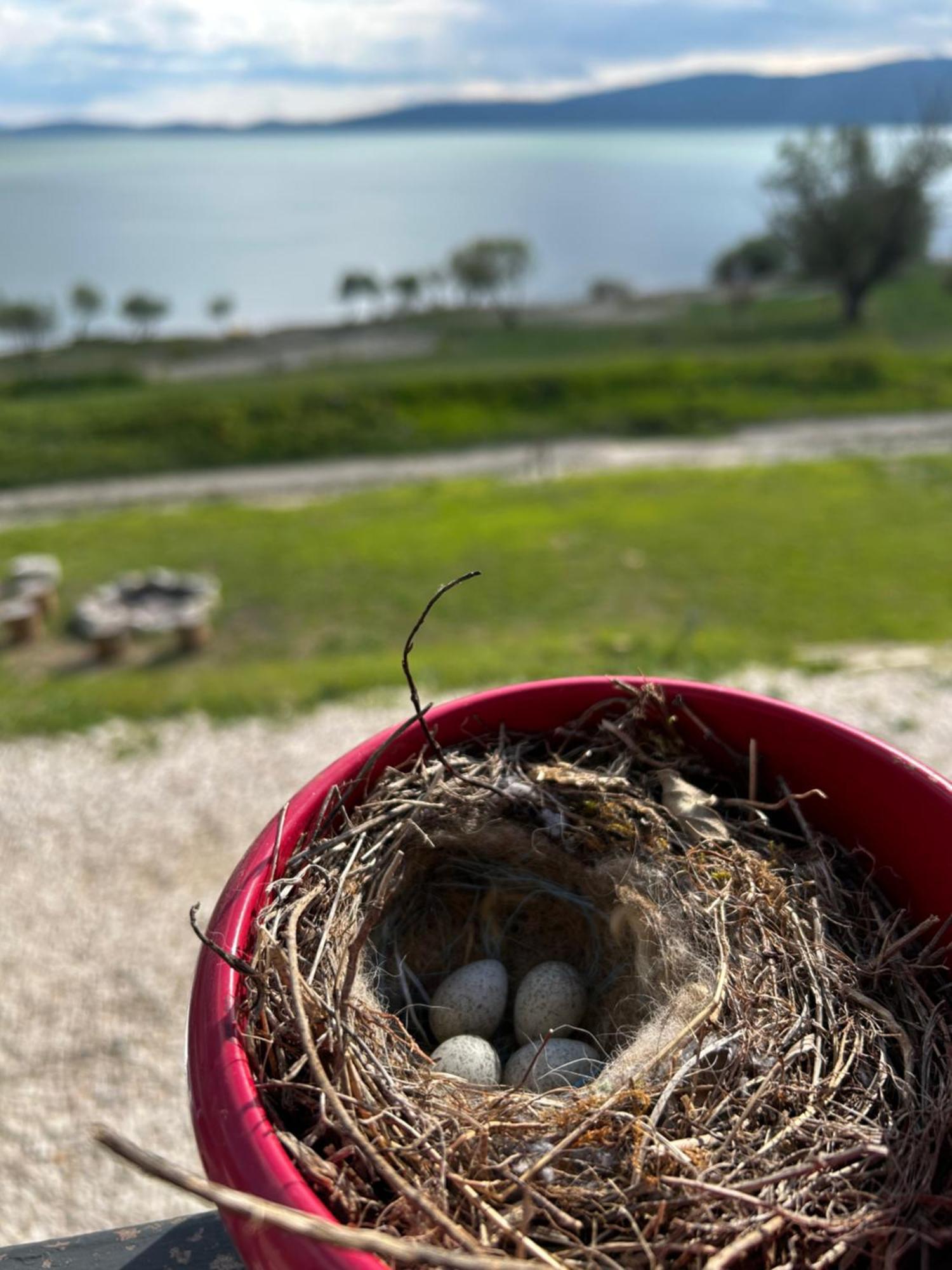 Lake House Beliz Livno Bagian luar foto